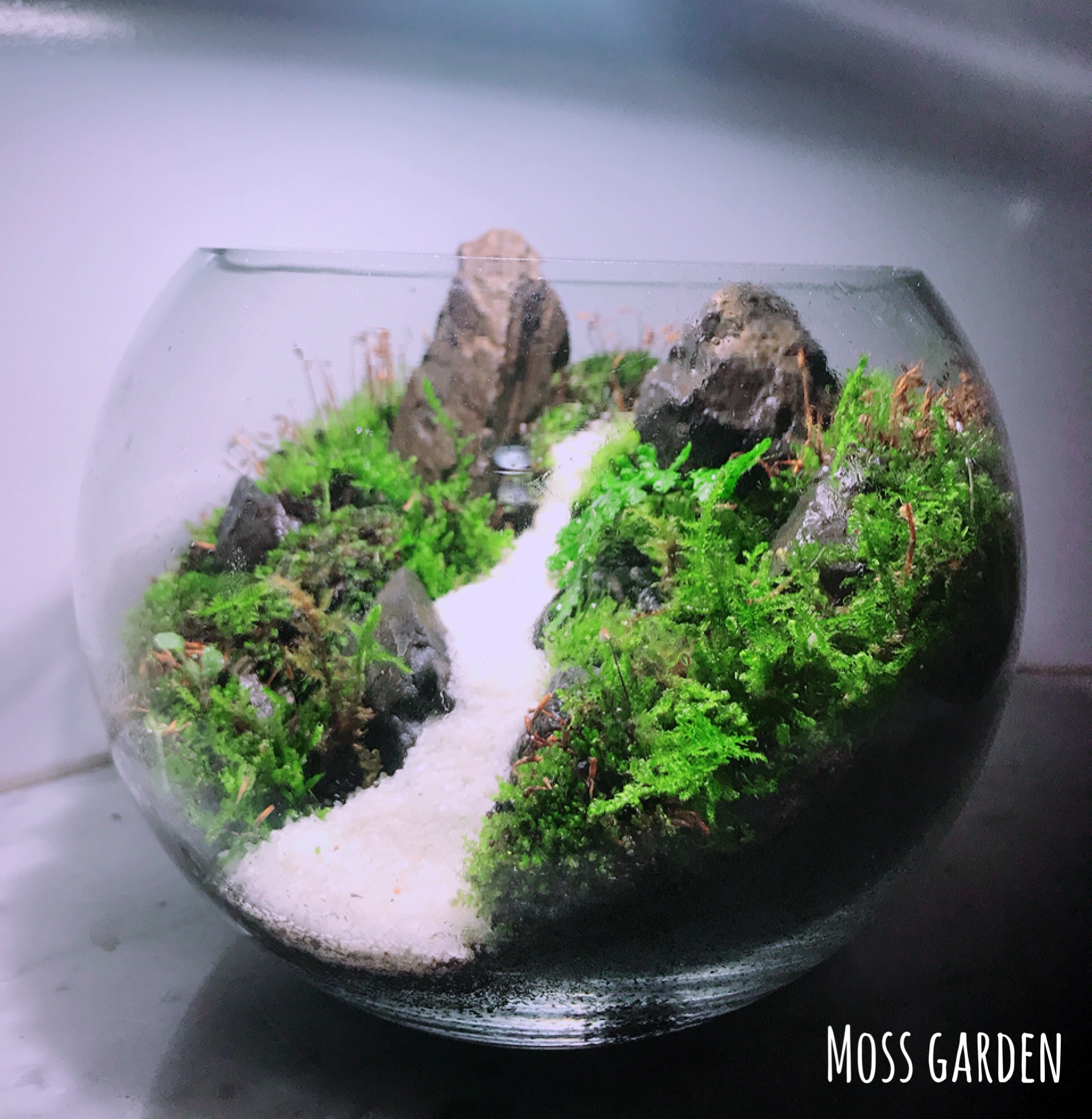 ev_mossgarden