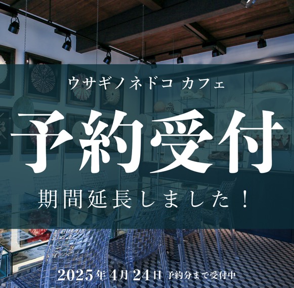 「予約受付期間延長」のお知らせ